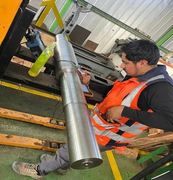 Proyectos industrial